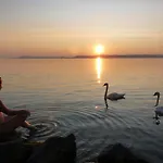 Marina Apartman Balatonszárszó