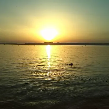 Apartman Marina Apartman